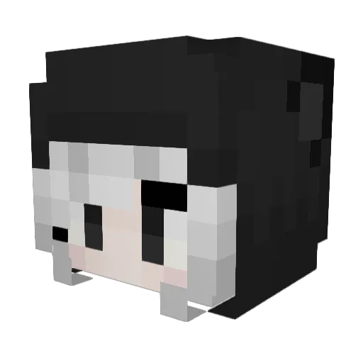 HypixelTntTag Minecraft avatar head, 3D render