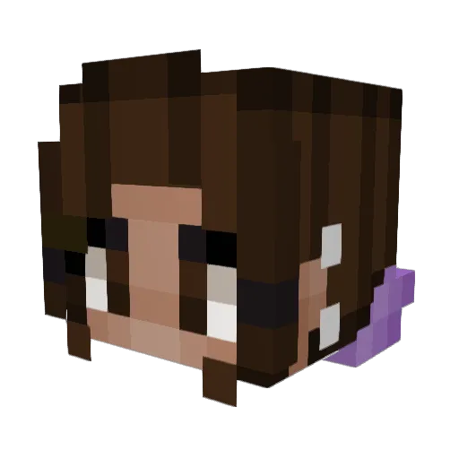 Hypixel_Egirl Minecraft avatar head, 3D render