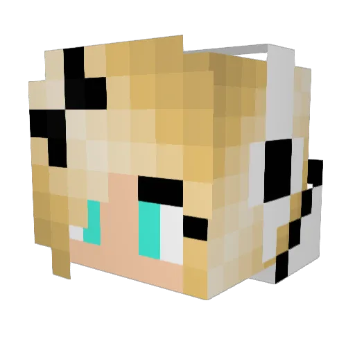 Hypnotized Minecraft avatar head, 3D render