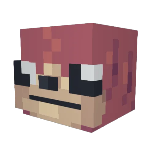 HypoHunter404 Minecraft avatar head, 3D render