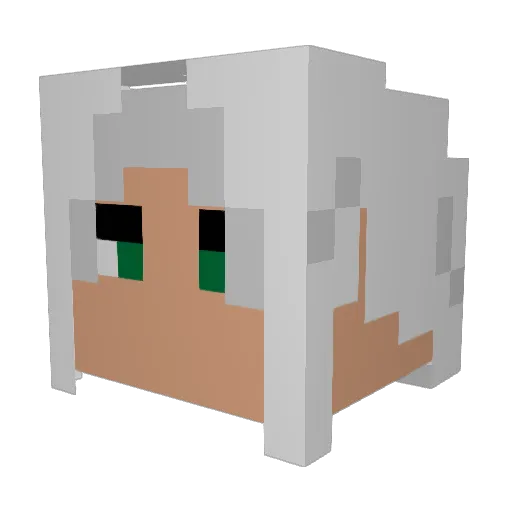 Hypringle Minecraft avatar head, 3D render