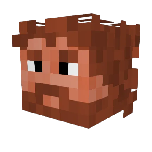 Hypronics Minecraft avatar head, 3D render