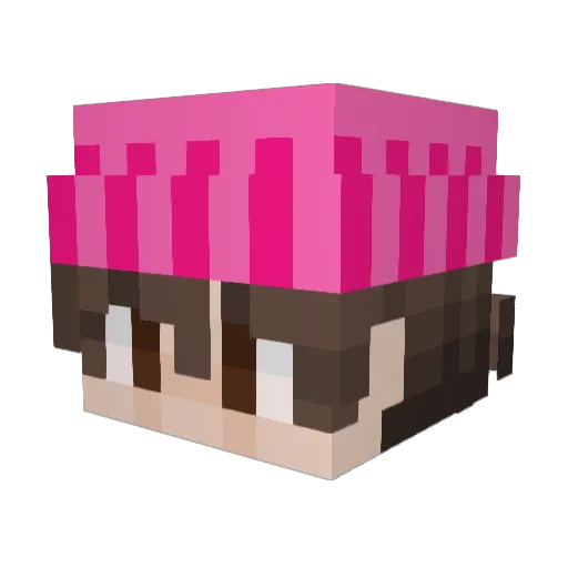 Hypurr_Cat Minecraft avatar head, 3D render