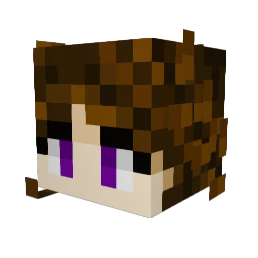 Hyrina2137 Minecraft avatar head, 3D render