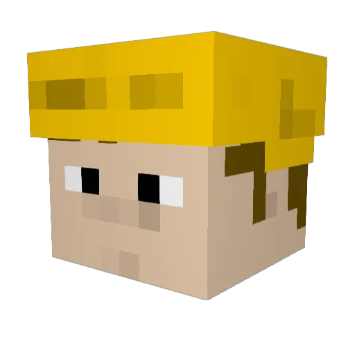 Hyropon Minecraft avatar head, 3D render