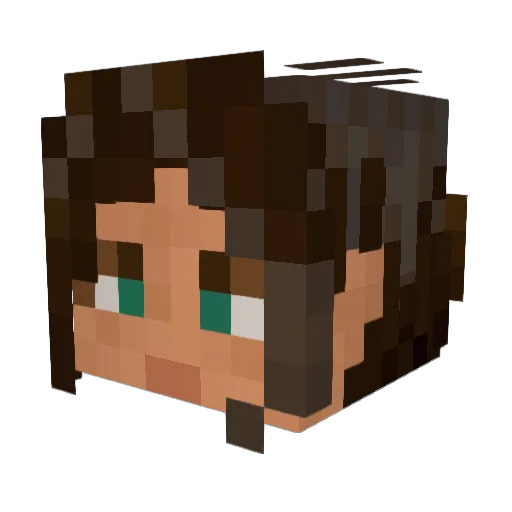 Hyscope Minecraft avatar head, 3D render