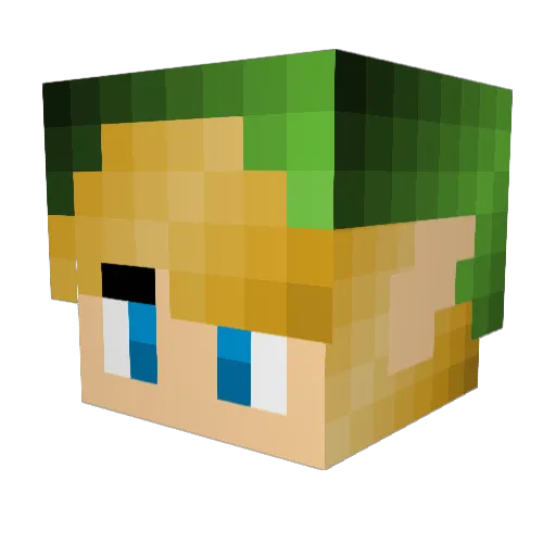 HyunJayPark Minecraft avatar head, 3D render