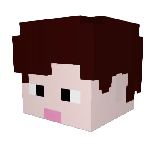 Hyungryul Minecraft avatar head, 3D render