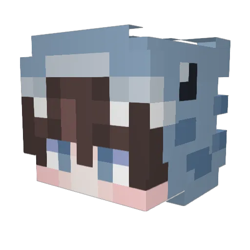 Hyxnboi Minecraft avatar head, 3D render