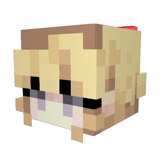 Hyydr4 Minecraft avatar head, 3D render