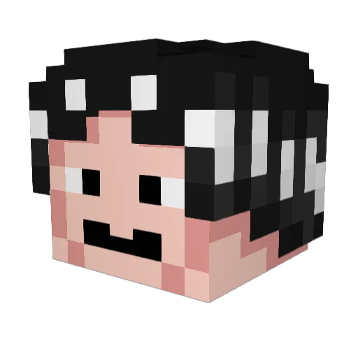 HyydrooThird Minecraft avatar head, 3D render