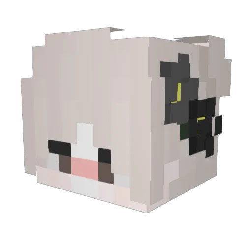 HzDevils Minecraft avatar head, 3D render