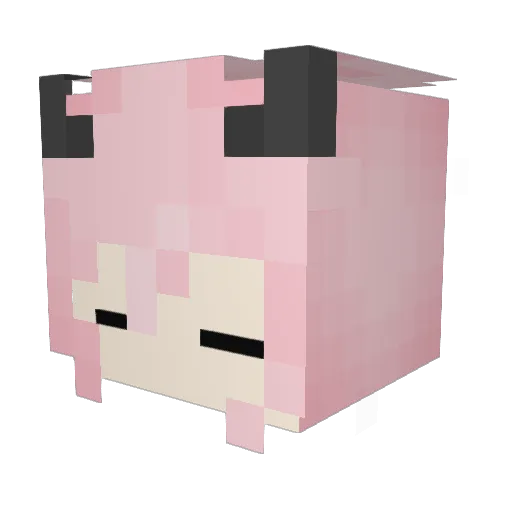 HzHavva Minecraft avatar head, 3D render