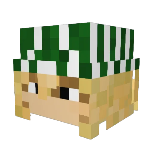 HzRadiances Minecraft avatar head, 3D render