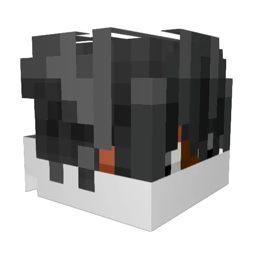 HzReaLY Minecraft avatar head, 3D render