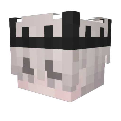 HzRooxer Minecraft avatar head, 3D render