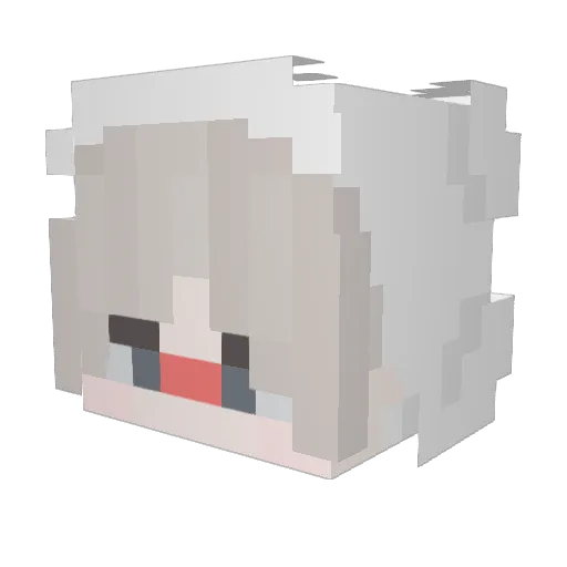 HzShuffly Minecraft avatar head, 3D render