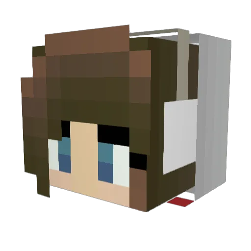 I2p Minecraft avatar head, 3D render