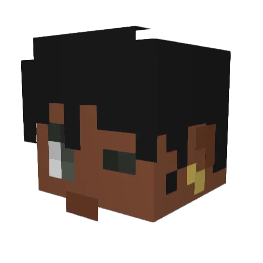 I3ossPaladin Minecraft avatar head, 3D render