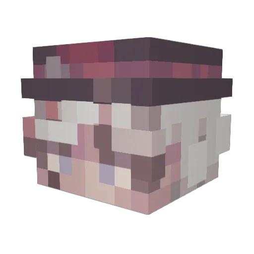 I808boyyI Minecraft avatar head, 3D render