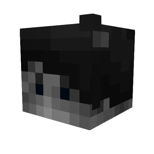 IAMCLOOLESS Minecraft avatar head, 3D render