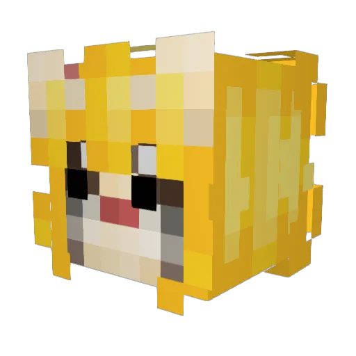 IAMEGGROLLL Minecraft avatar head, 3D render