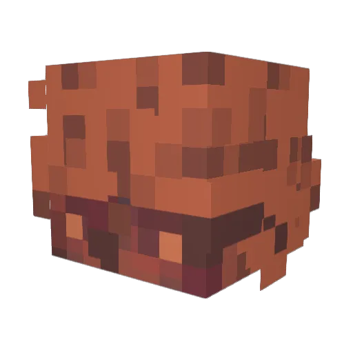 IAMMSTEVEEE Minecraft avatar head, 3D render