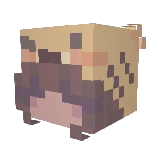 IAMNET Minecraft avatar head, 3D render