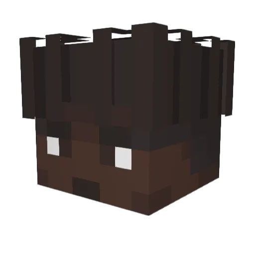 IANNOYED Minecraft avatar head, 3D render