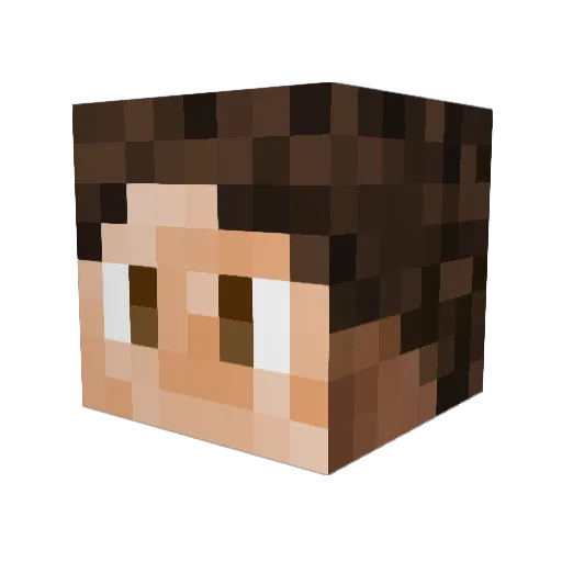 IAREPTNJNSN873 Minecraft avatar head, 3D render