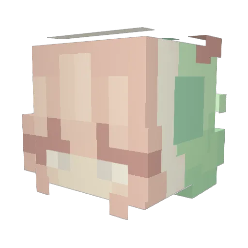 IAUizze Minecraft avatar head, 3D render