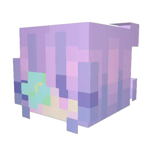 IAmANarwhallll Minecraft avatar head, 3D render