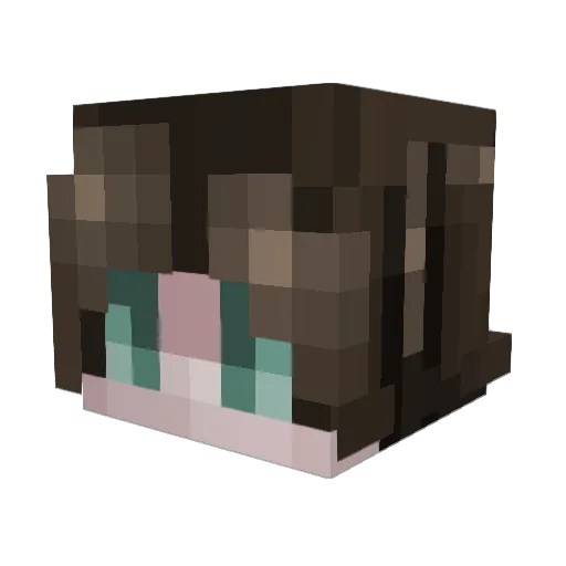 IAmAPillow Minecraft avatar head, 3D render
