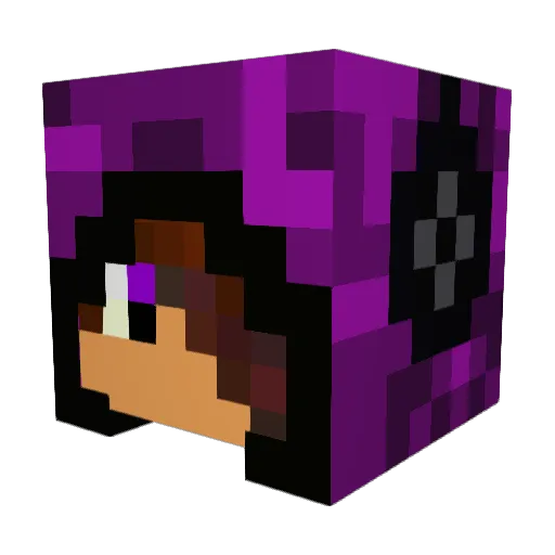 IAmBeast1212 Minecraft avatar head, 3D render