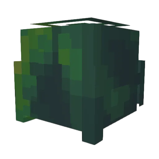 IAmBlingBlingBoy Minecraft avatar head, 3D render
