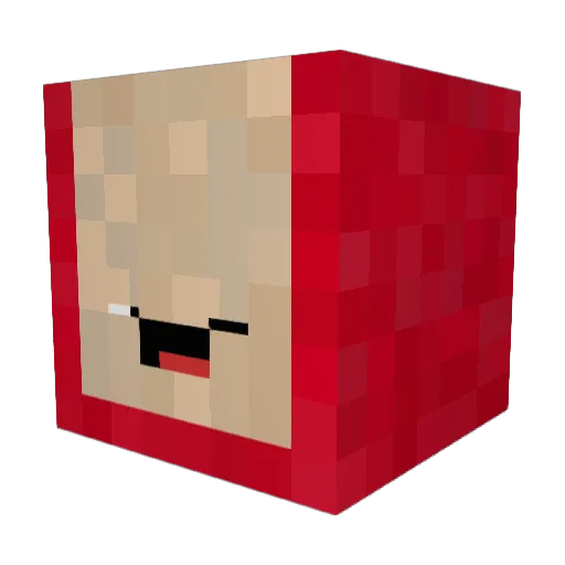 IAmFearless04 Minecraft avatar head, 3D render