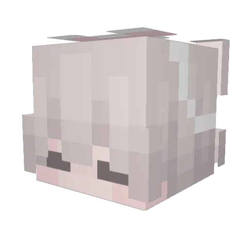 IAmFranOks Minecraft avatar head, 3D render