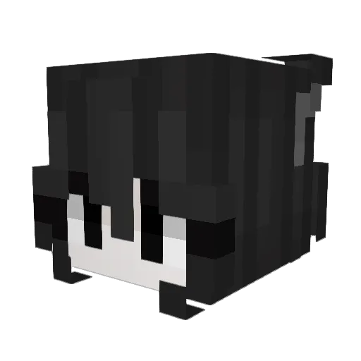 IAmKaj0 Minecraft avatar head, 3D render