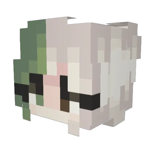 IAmLamb1503 Minecraft avatar head, 3D render