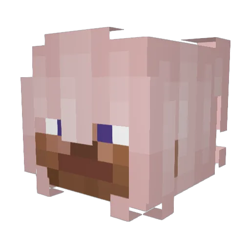 IAmNotJaden Minecraft avatar head, 3D render