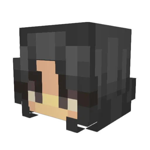 IAmSomeone01 Minecraft avatar head, 3D render
