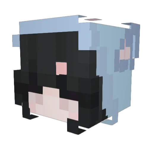 IAmSteven1216 Minecraft avatar head, 3D render