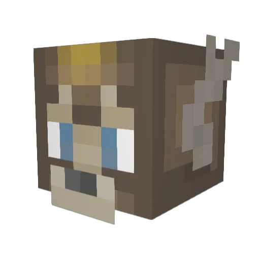 IAmTargo Minecraft avatar head, 3D render