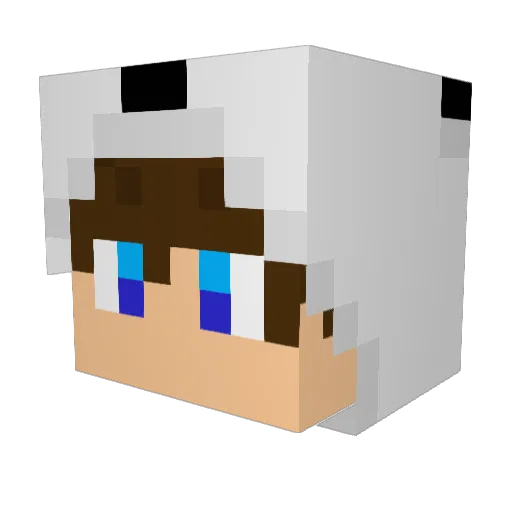 IAmWatchdogNow Minecraft avatar head, 3D render