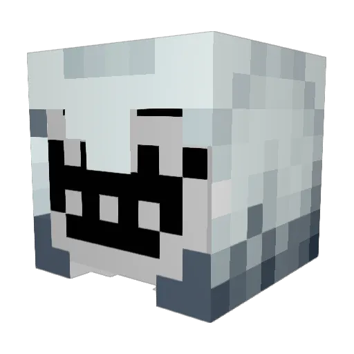 IAmWeird0 Minecraft avatar head, 3D render