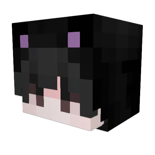 IAnxlMiniKloon Minecraft avatar head, 3D render