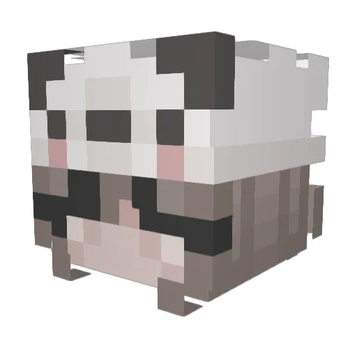IAteYourBamboo Minecraft avatar head, 3D render