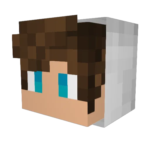 IAxeTheQuestions Minecraft avatar head, 3D render