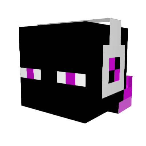 IBackTheDBacks Minecraft avatar head, 3D render