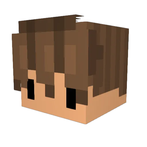 IBims1pRo1 Minecraft avatar head, 3D render